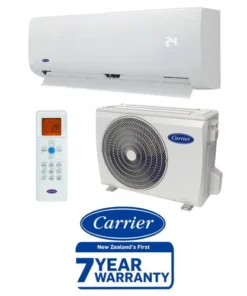 fern1_ce9149d2-f67f-4365-ab0f-bcc73cd0d555_1024x