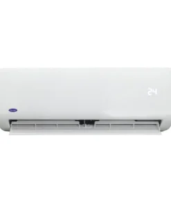 fern_ef20df59-06c8-4a29-9834-8ed6b4797015_1024x